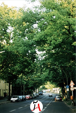 sch&ouml;neberg
