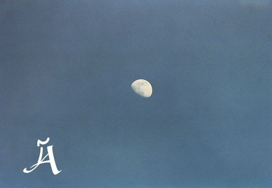 31. march m&auml;rz مارس