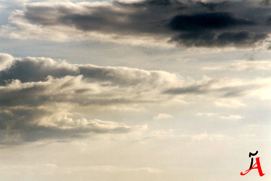 buschkrugbr&uuml;cke