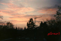 seite 1 ~ صفحه یک