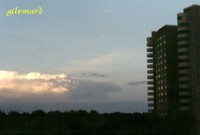 seite 39 ~ صفحه ۳۹