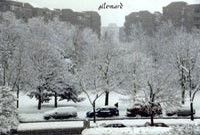 seite 81 ~ صفحه ۸۱