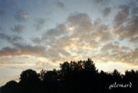 seite 123 ~ صفحه ۱۲۳