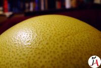 1243 ~ صفحه ۱۲۴۳