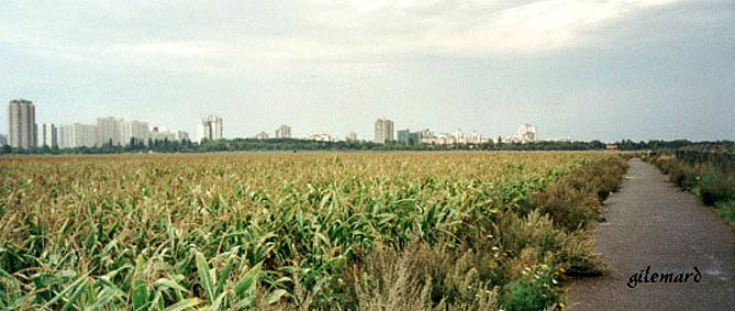 blick vom s&uuml;den